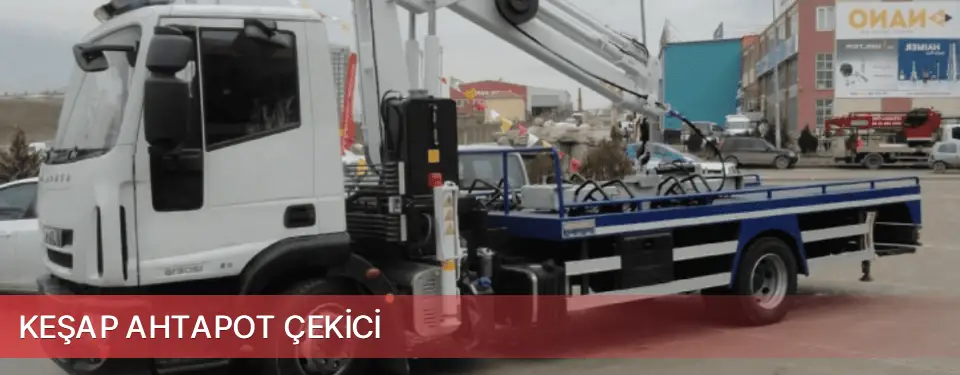 Keşap İlçemi Ahtapot Çekici
